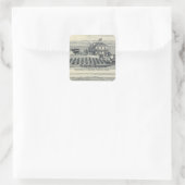 Hedge Row Vineyard, Fresno Vierkante Sticker (Tas)