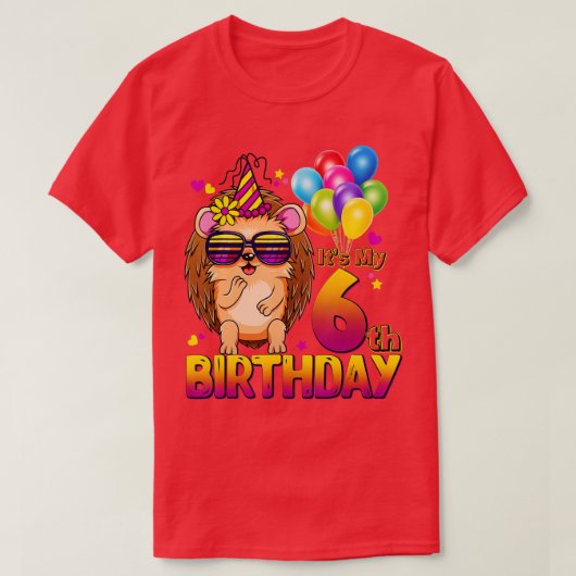 Hedgehog 6th Birthday Shirt 6 Years Old Hedgehog B (Design voorkant)