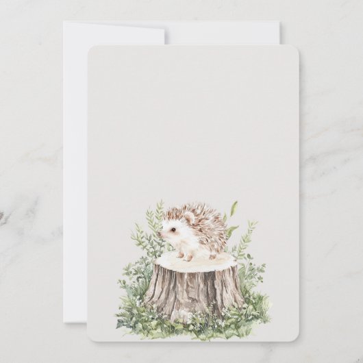 Hedgehog Animal Birthday   Kaart (Achterkant)