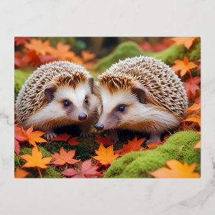 Hedgehog Animal Natuur Wildlife Affection Caring Folie Feestdagen Briefkaart