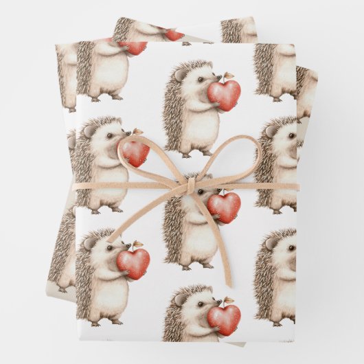 Hedgehog Apple Hart Verjaardag Inpakpapier Vel (In situ)