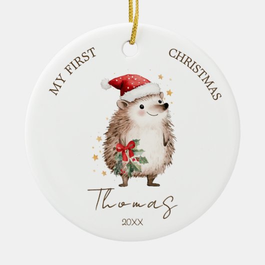 Hedgehog Baby 1st Christmas Photo Ornament (Voorkant)