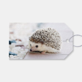 Hedgehog Baby Cadeaulabel