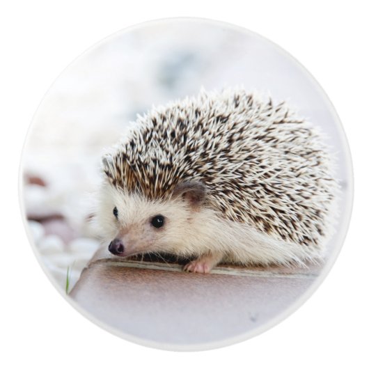 Hedgehog Baby Keramische Knop (Voorkant)