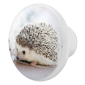 Hedgehog Baby Keramische Knop (Rechts)