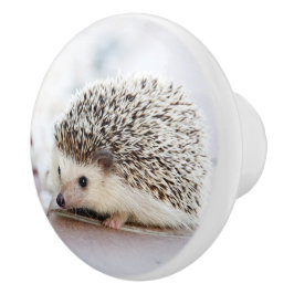 Hedgehog Baby Keramische Knop