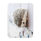 Hedgehog Baby Magneet (Verticaal)