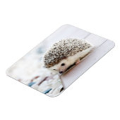 Hedgehog Baby Magneet (Linkerzijde)