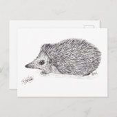 HEDGEHOG BRIEFKAART (Voorkant / Achterkant)