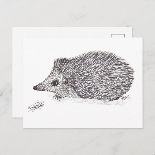 HEDGEHOG BRIEFKAART (Voorkant / Achterkant)