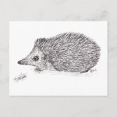 HEDGEHOG BRIEFKAART (Voorkant)