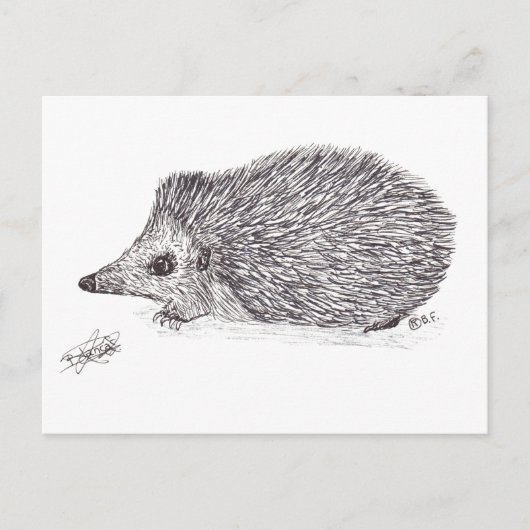 HEDGEHOG BRIEFKAART (Voorkant)