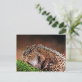 HEDGEHOG BRIEFKAART (Staand voorkant)