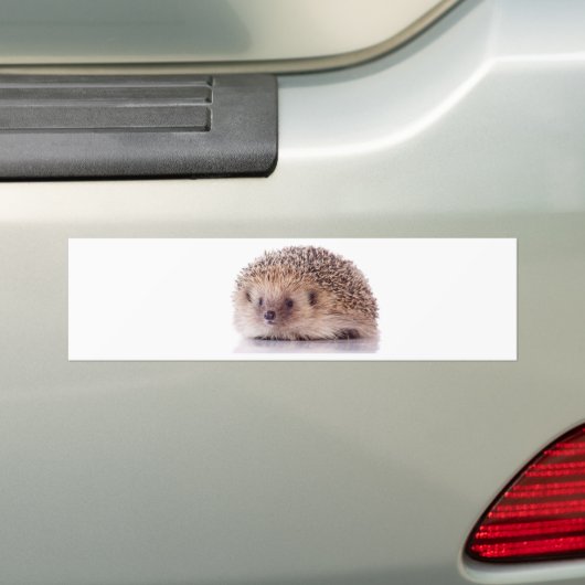 Hedgehog, Bumpersticker (Op auto)