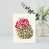 Hedgehog cactus-Briefkaart Briefkaart (Staand voorkant)