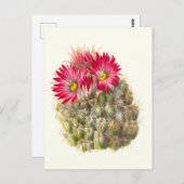Hedgehog cactus-Briefkaart Briefkaart (Voorkant / Achterkant)