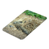 Hedgehog Care Premium Magnet Magneet (Linkerzijde)