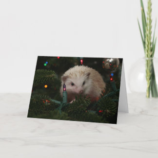 Hedgehog Christmas Card Feestdagen Kaart