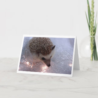 Hedgehog Christmas Card Feestdagen Kaart