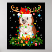Hedgehog Christmas Lights Reindeer Santa Hat Adult Poster (Voorkant)