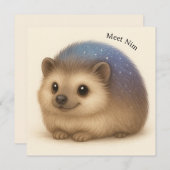 Hedgehog Comfort Wenskaart Meet Nim - serie (Voorkant / Achterkant)