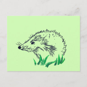 Hedgehog Drawing Custom Briefkaart