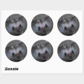 Hedgehog Face Stickers (Vel)