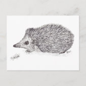 HEDGEHOG FEESTDAGENKAART (Voorkant)