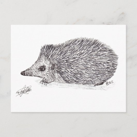 HEDGEHOG FEESTDAGENKAART (Voorkant)