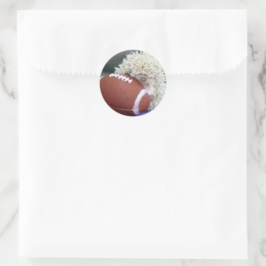Hedgehog Football Ronde Sticker (Tas)