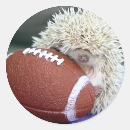 Hedgehog Football Ronde Sticker (Voorkant)