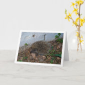 Hedgehog in Tuinportret Kaart (Gele Bloem)