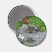 Hedgehog magneet - aanpasbaar (Voorkant / Achterkant)