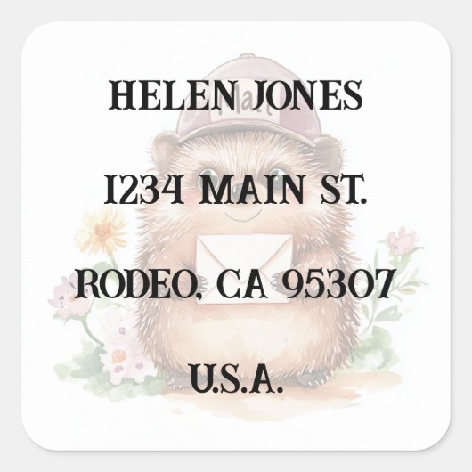 Hedgehog Mail Adreslabel - Envelope Stickers (Voorkant)
