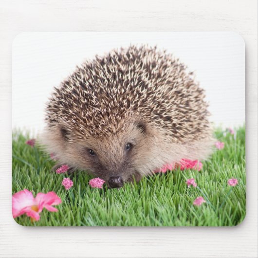hedgehog, muismat (Voorkant)