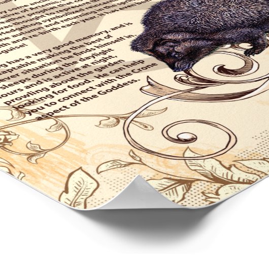 HEDGEHOG MYTHOLOGY POSTER (Hoek)