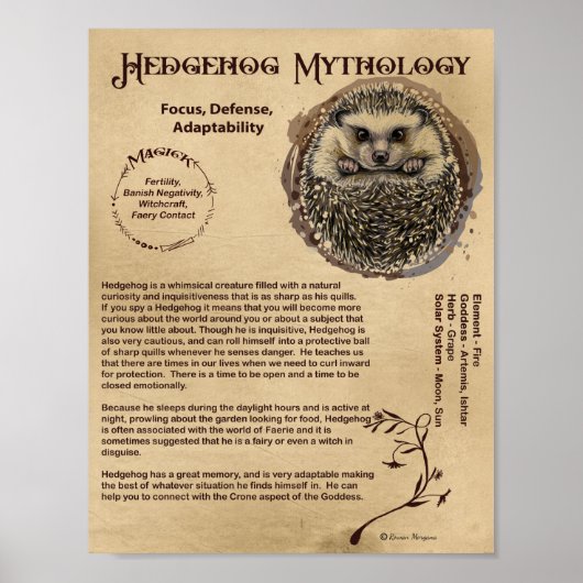 HEDGEHOG MYTHOLOGY POSTER (Voorkant)