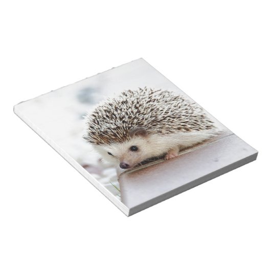 Hedgehog Notitieblok (Schuin)