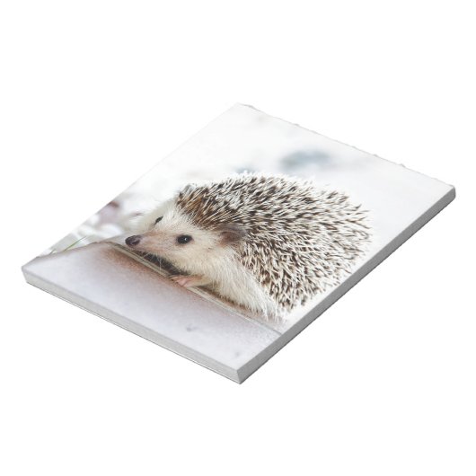 Hedgehog Notitieblok (Linkerzijde)
