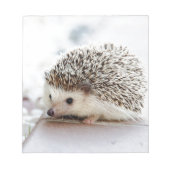Hedgehog Notitieblok (Voorkant)
