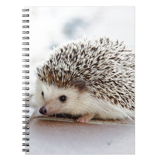 Hedgehog Notitieboek (Voorkant)