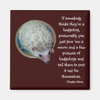 Hedgehog of Person magneet