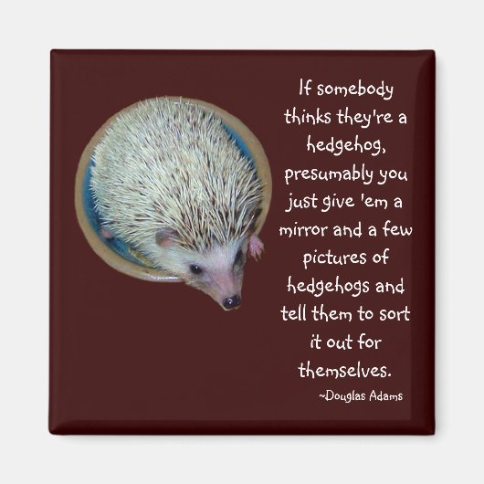 Hedgehog of Person magneet (Voorkant)
