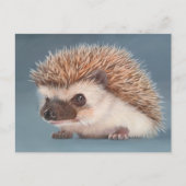 Hedgehog Postcard Briefkaart (Voorkant)