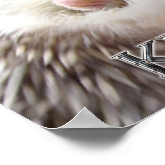 HEDGEHOG POSTER VOOR KLEINE BEWARING (Hoek)