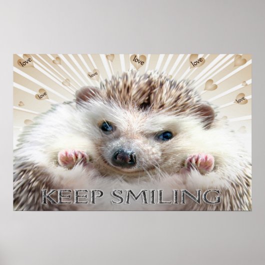 HEDGEHOG POSTER VOOR KLEINE BEWARING (Voorkant)