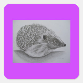 Hedgehog producten (2) vierkante sticker