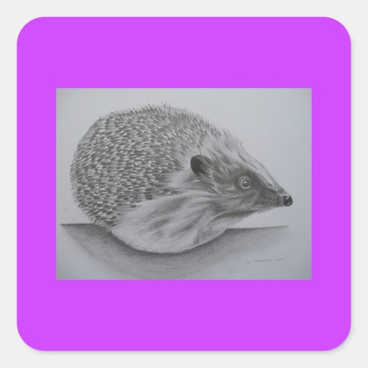 Hedgehog producten (2) vierkante sticker (Voorkant)