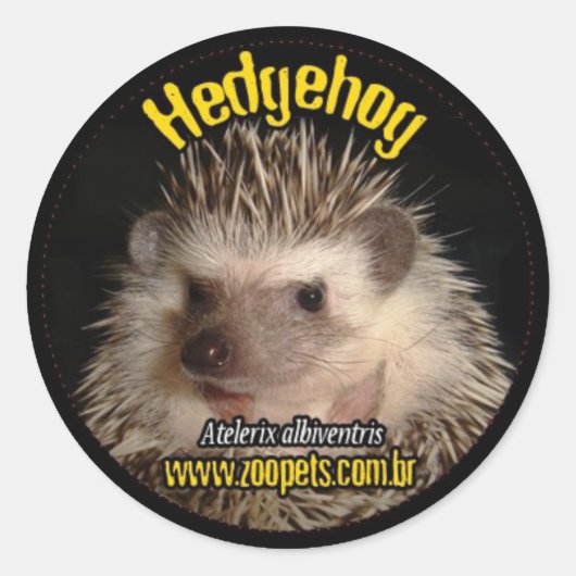 hedgehog ronde sticker (Voorkant)