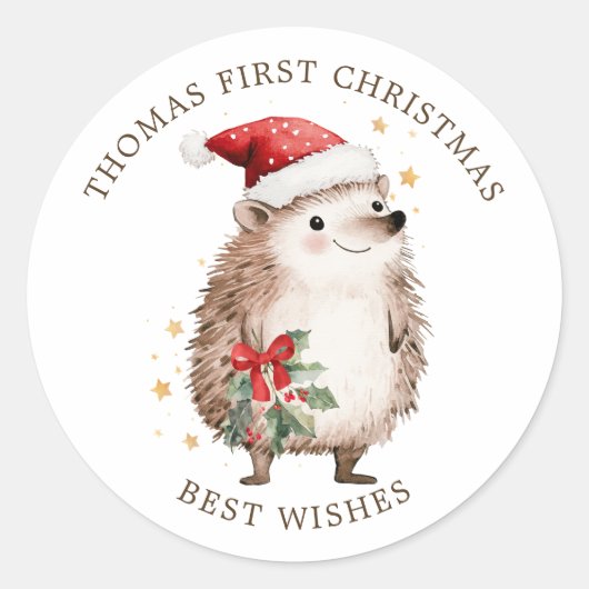 Hedgehog Santa Hat Baby 1st Christmas Ronde Sticker (Voorkant)
